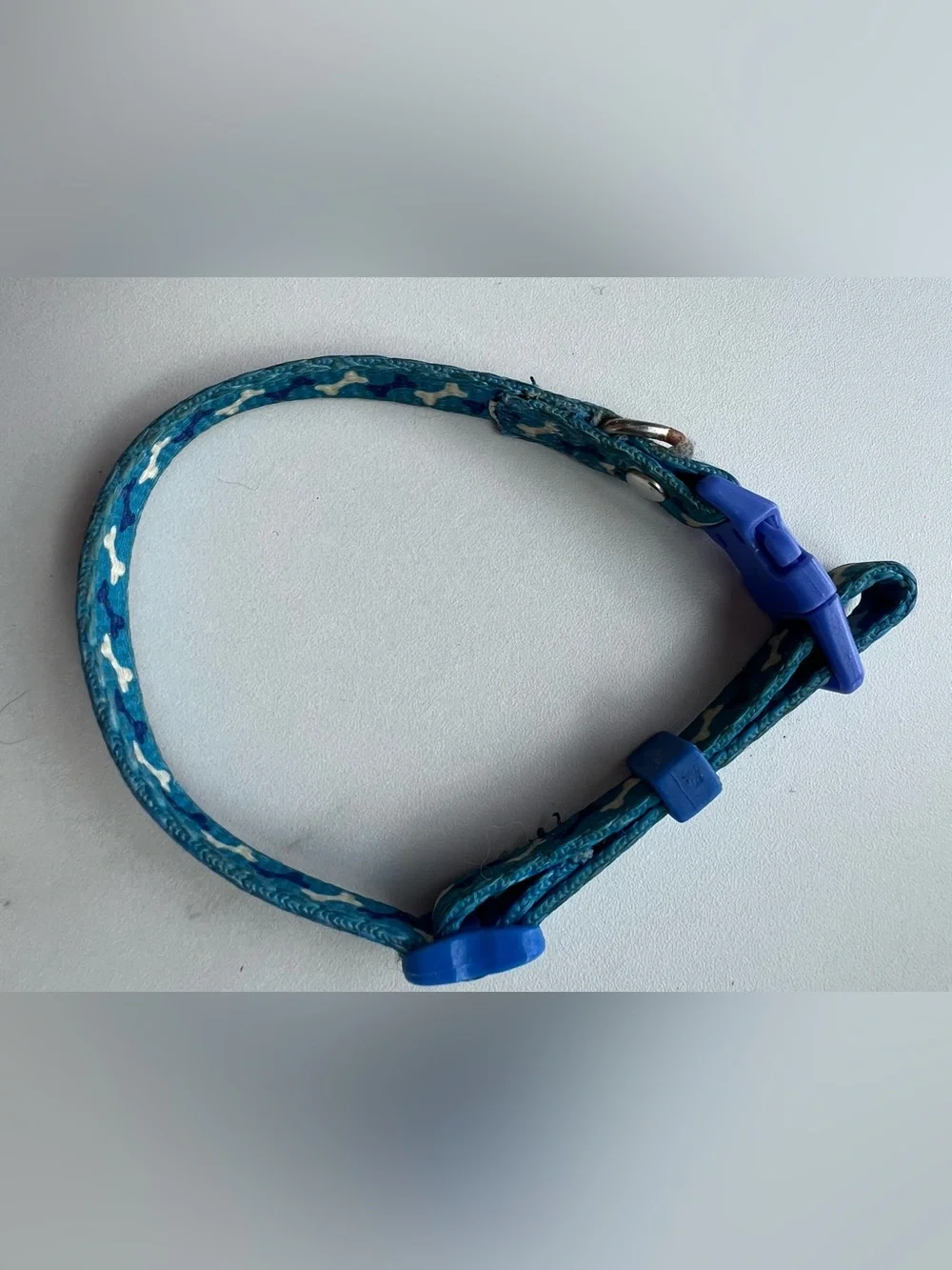 Blue Bone-Print Dog Collar - Adjustable Comfort